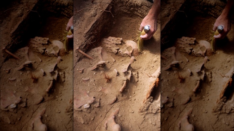 Grave pioneer being excavated