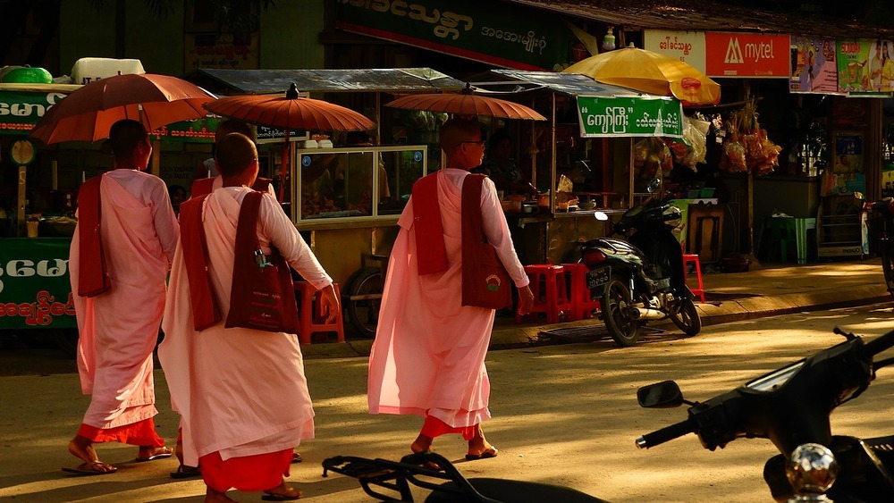 buddhist nuns holding umbrellas