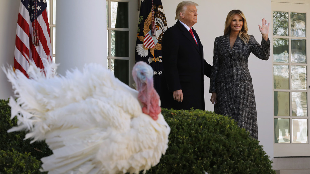 trump turkey pardon