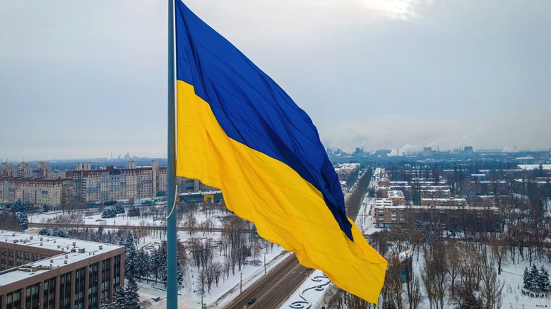 Ukraine flag