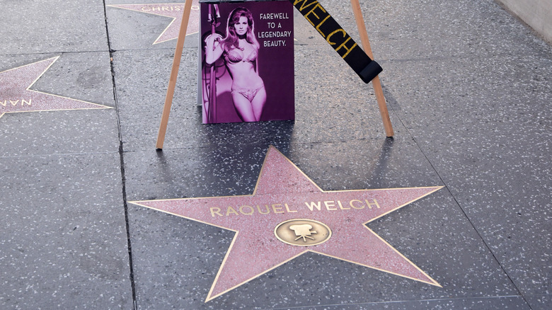 Raquel Welch's star 