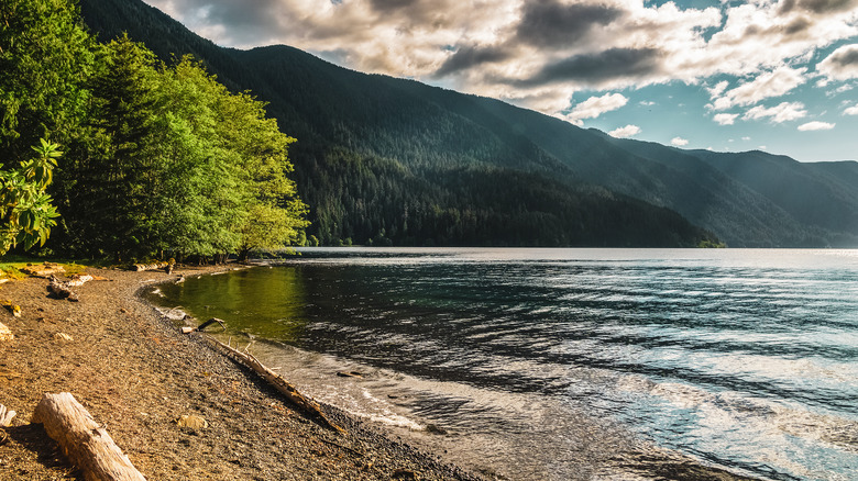 Washington state Lake Crescent water beach