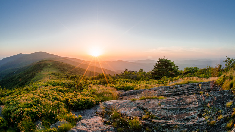 sunrise on Roan Mountain