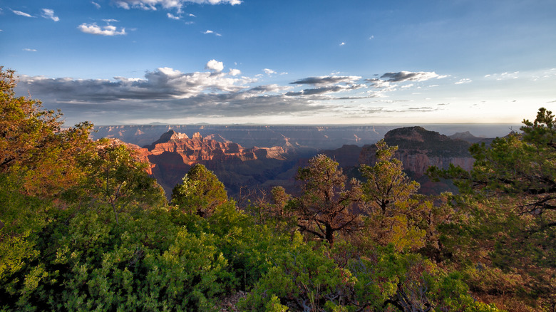 Grand Canyon transept trail