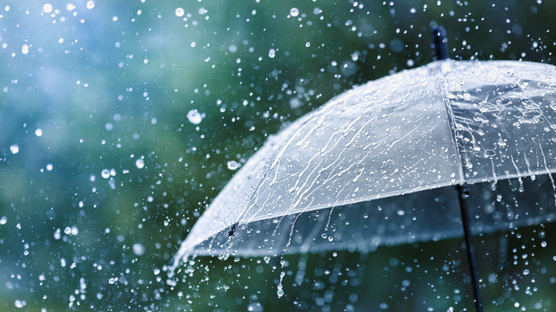 rain on an umbrella