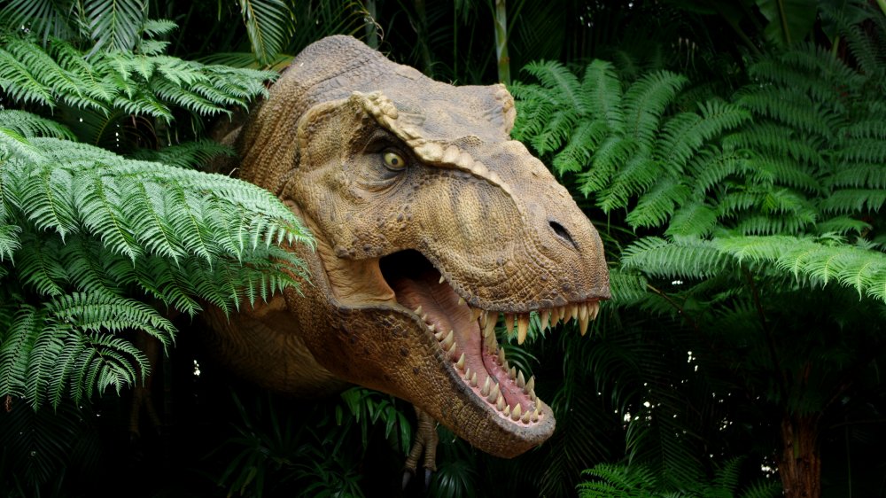Scientists Collect Dinosaur DNA From Fossilized Skull