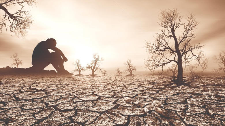 landscape trees man sitting