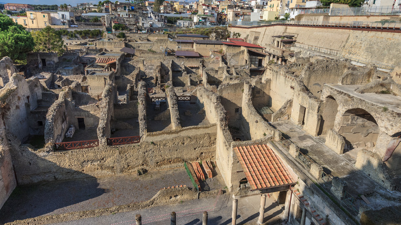 Herculaneum excavation and ruins