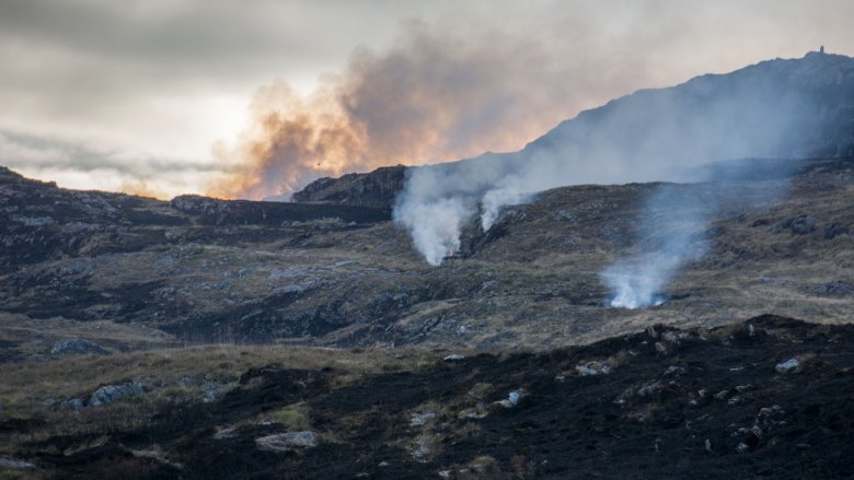 Gorse fire, Ireland