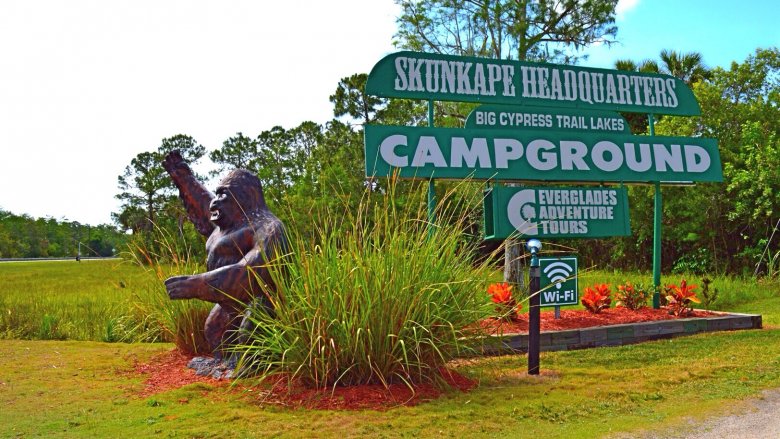 Skunk Ape Headquarters