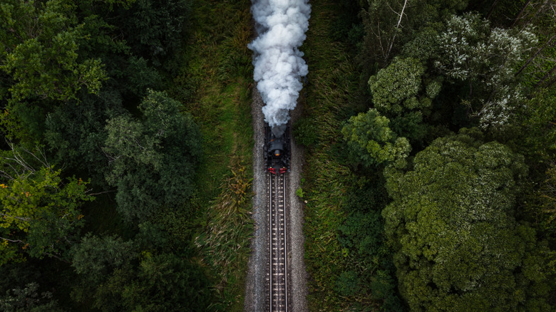 Train riding through Russian forest