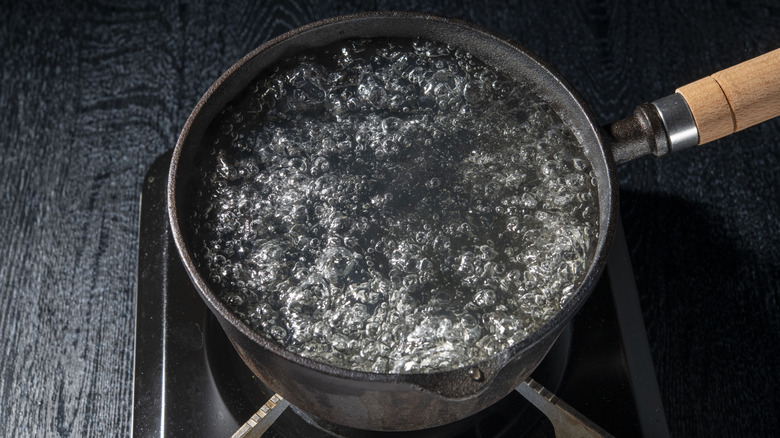 Boiling water in a pot