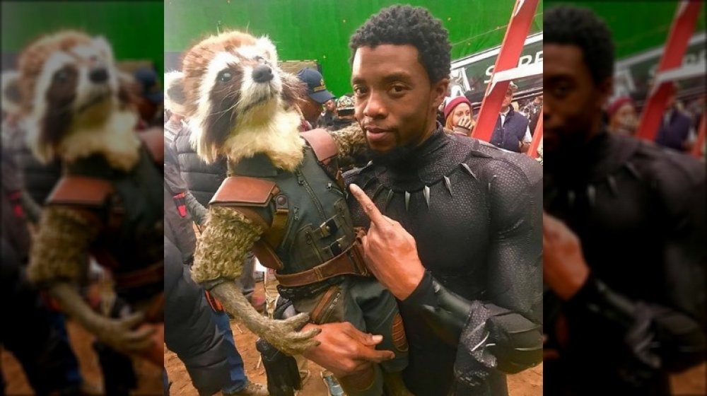 Chadwick Boseman Rocket MCU set photo