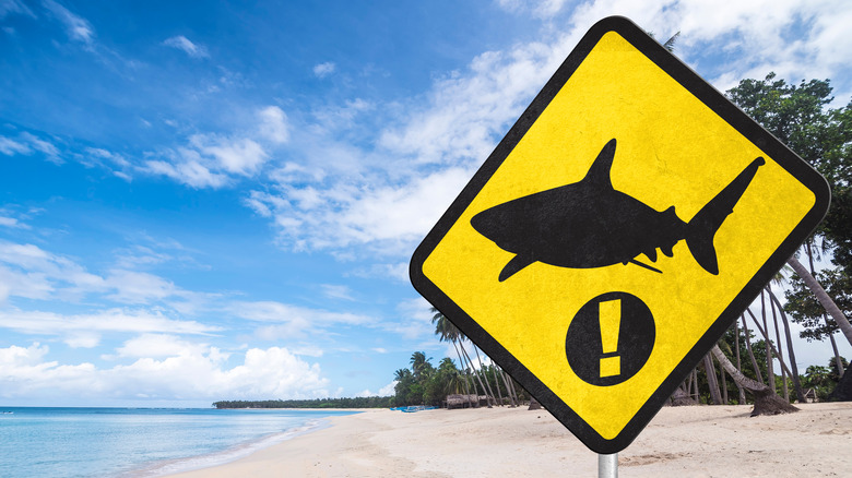 Shark warning sign