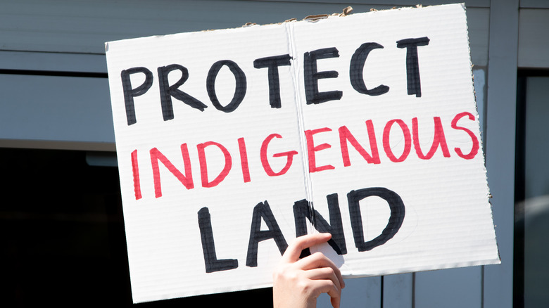 Protect Indigenous Land sign