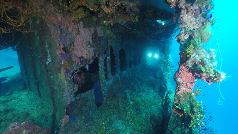 one of the world war II shipwrecks in truk lagoon