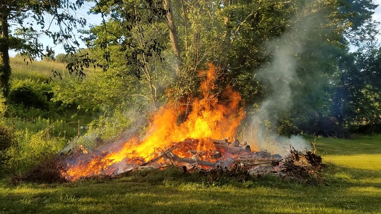 bonfire on farm