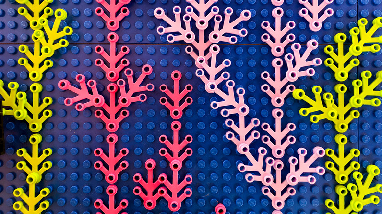 Lego coral algae