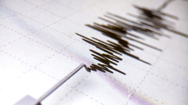 Close up of seismograph waves