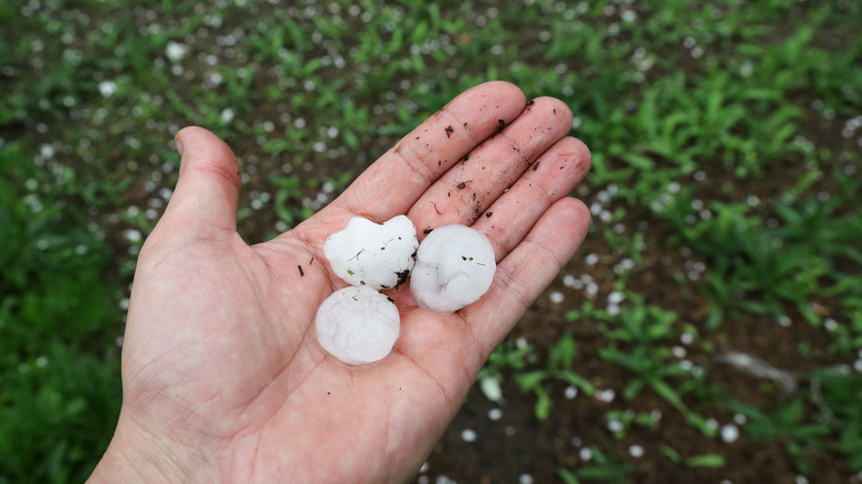 Hailstones in a person's palm