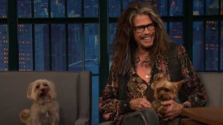 Steven Tyler being interviewed with dogs