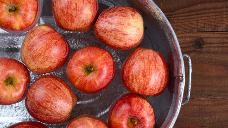 bobbing for apples