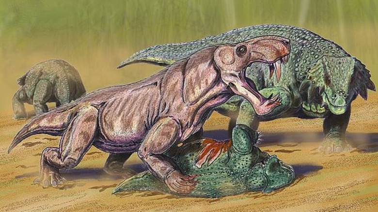 Inostrancevia eating scutosaurus