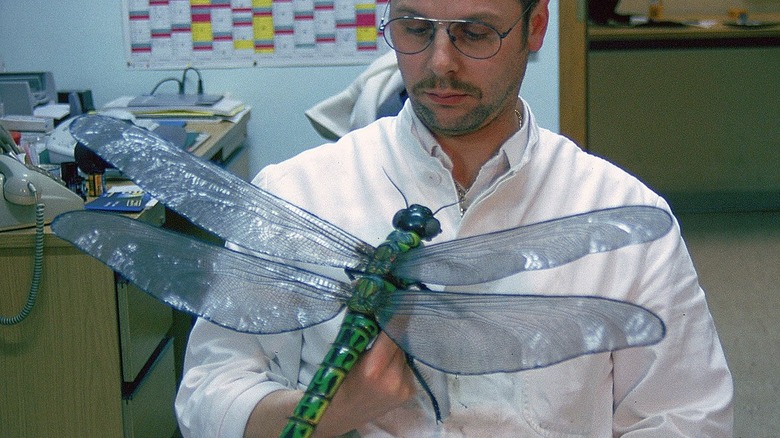 scientist with meganeuropsis model to scale