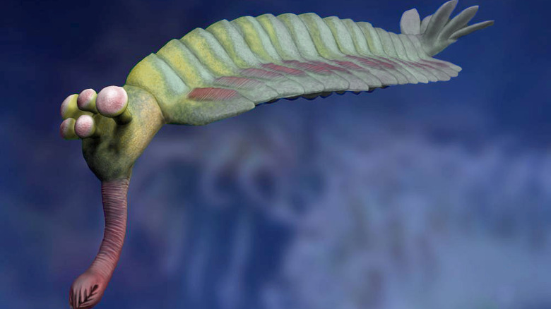 Opabinia reconstruction art