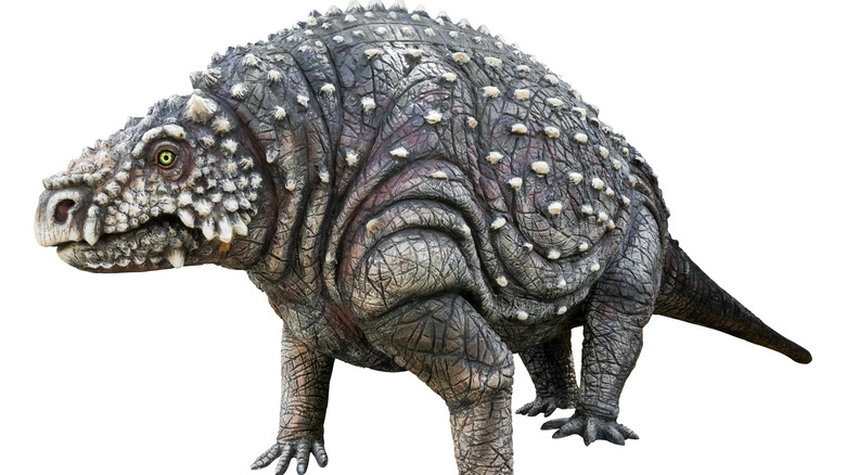 Scutosaurus rendering