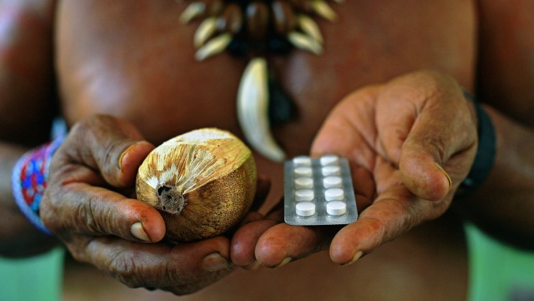 indigenous medicine food