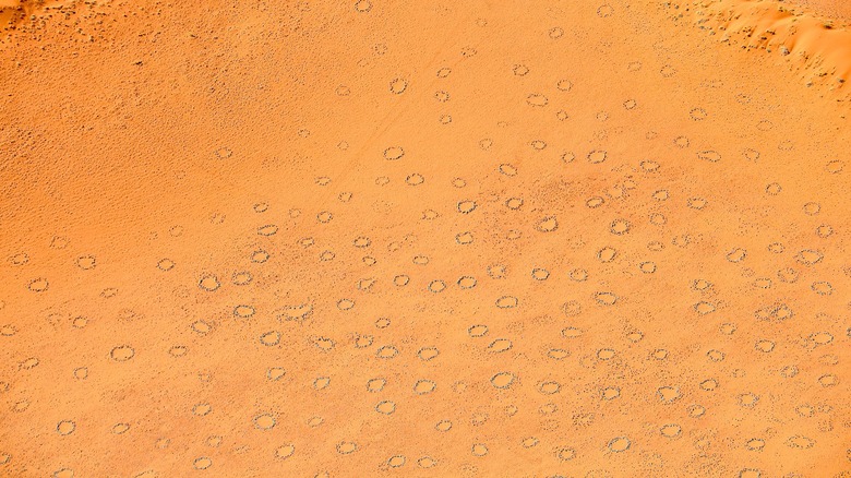 Aerial view of Fairy circles within Namib-Naukluft National Park 