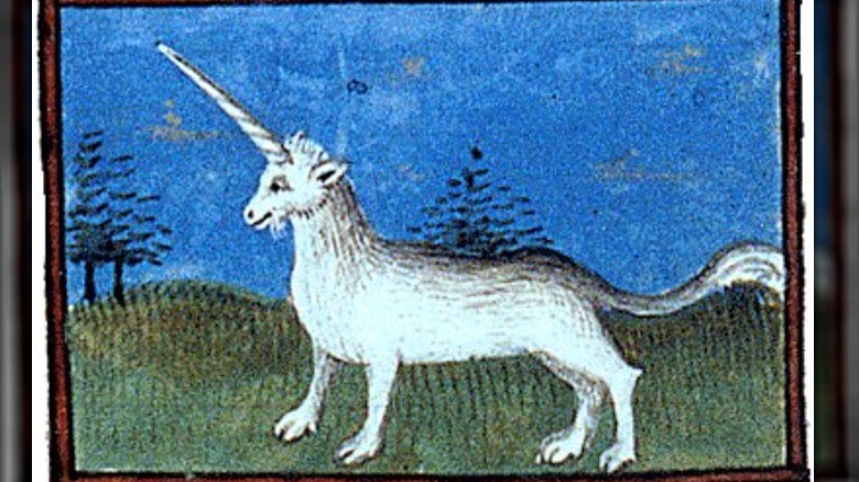 medieval manuscript of unicorn