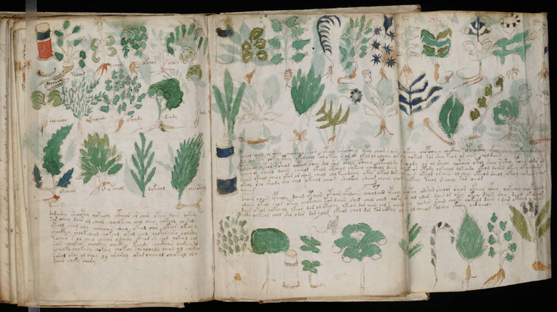 the voynich manuscript