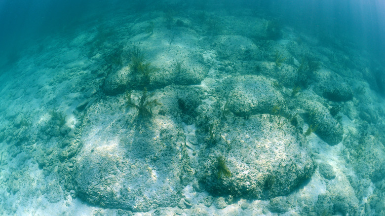 Underwater rocks that look like a paved road