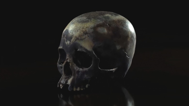 skull of naia black background