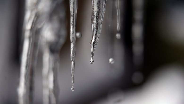 dripping icicle