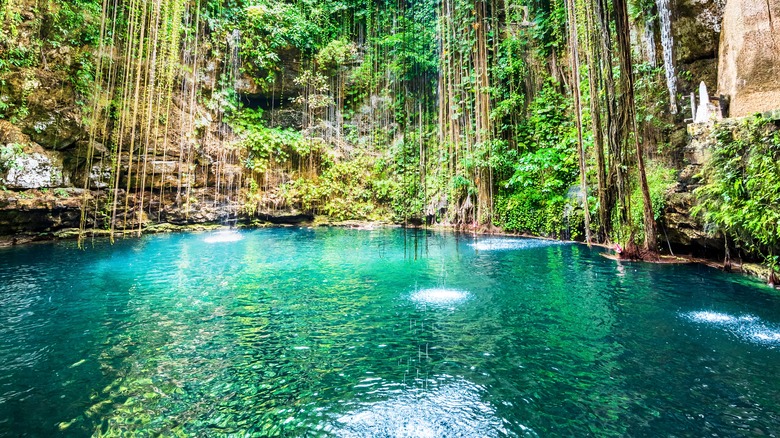 Cenote in Mexico with water