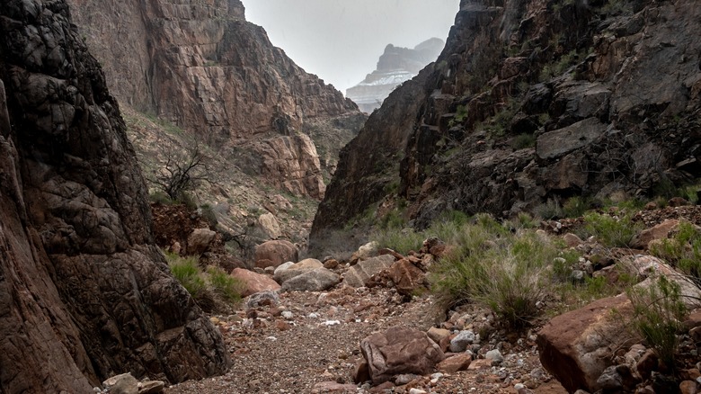 dry creek bed colorado