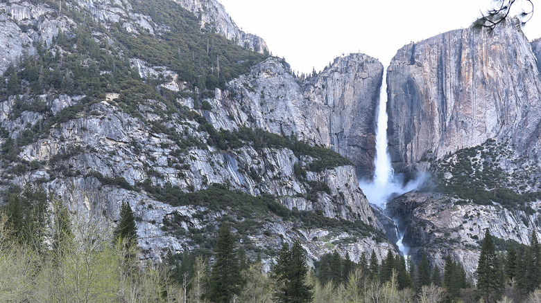 waterfall and cliffs at yosemite