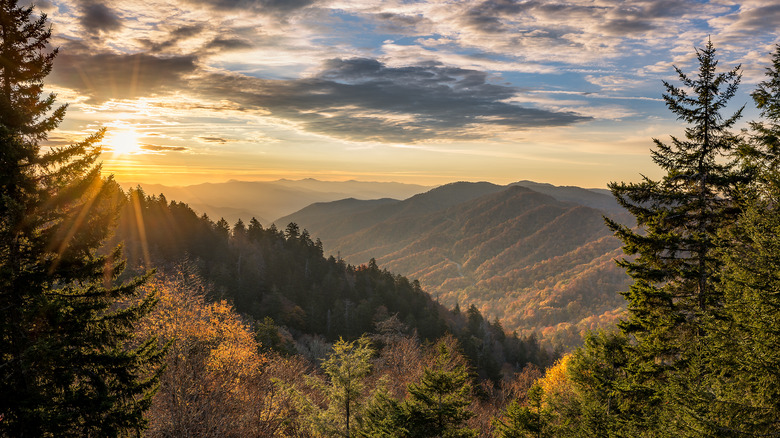 Sunshine great smoky mountains forest