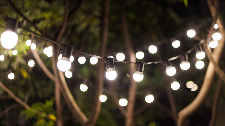 Light bulbs strung outside