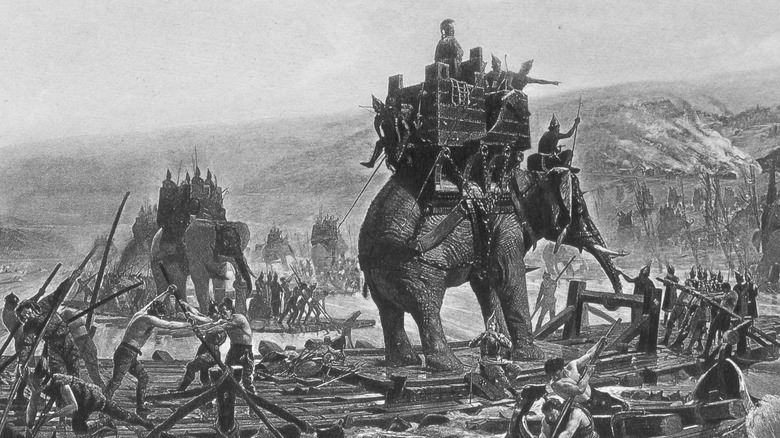 Hannibal Barca on war elephant