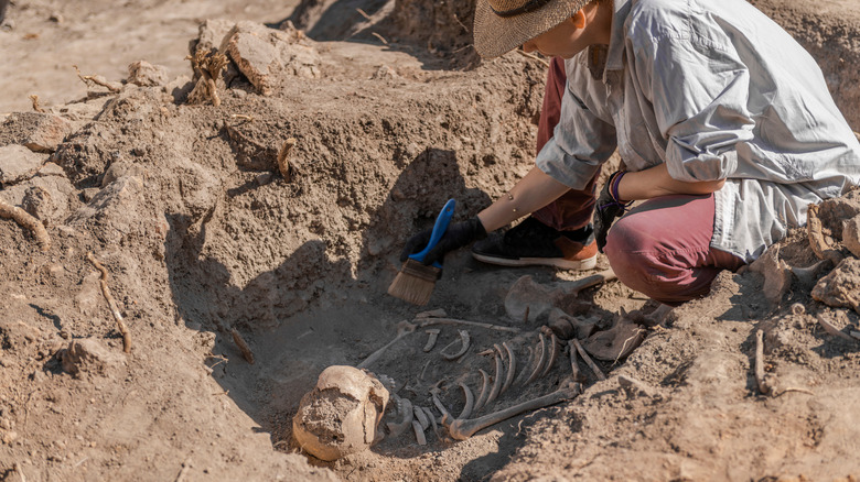 archeologist dusting off human bones in excavation