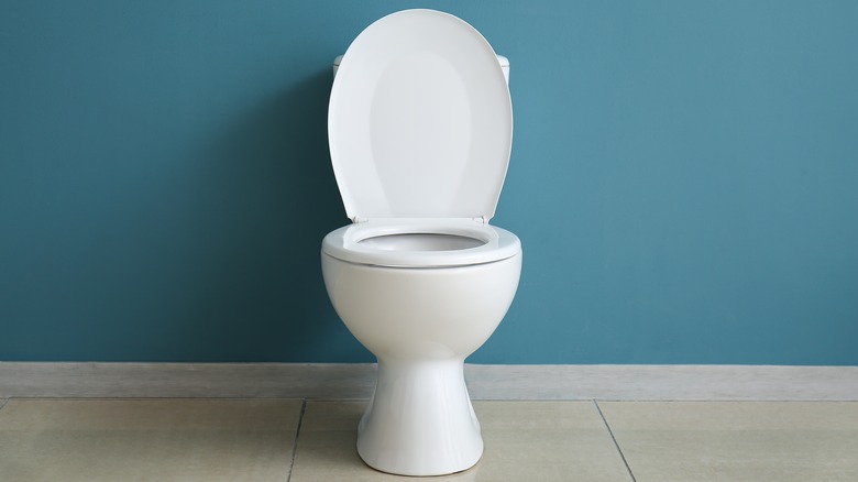 Toilet with open lid