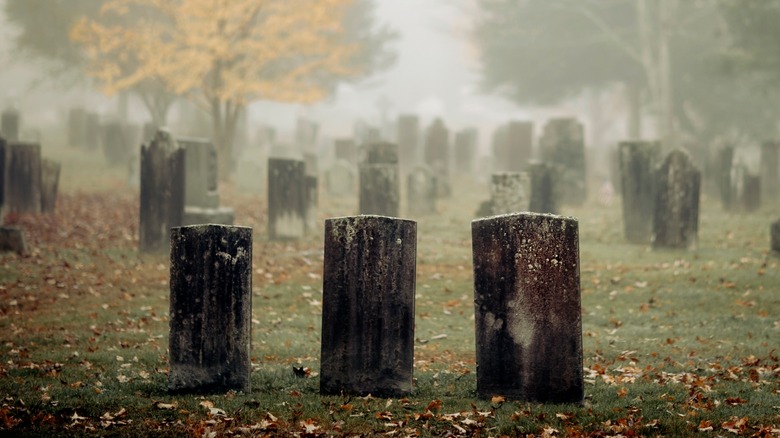 Headstones in a cemetery