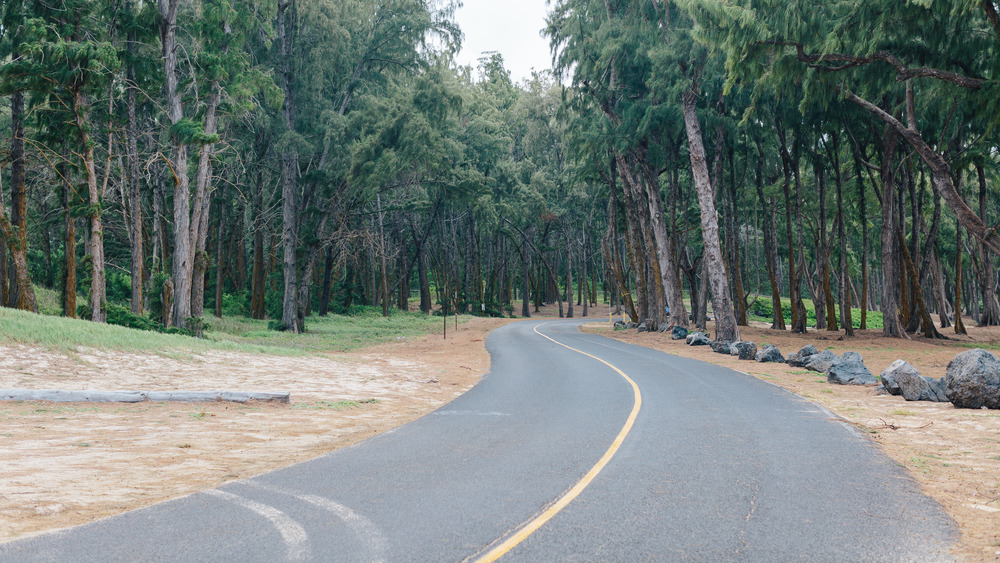 Secluded country road