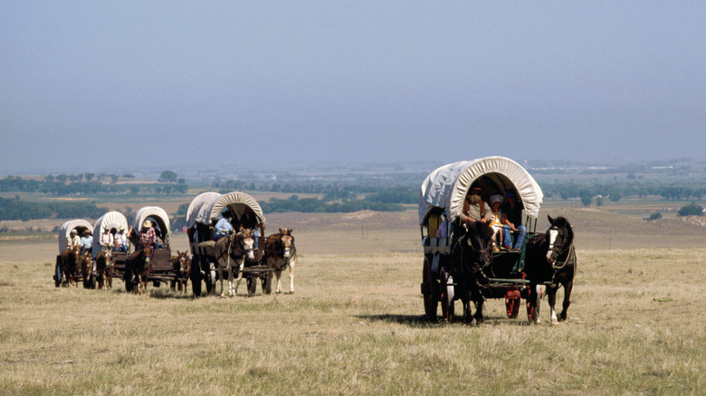 Covered wagons riding Oregon Trail