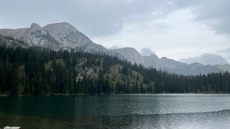 Bozeman Trail, Montana landscape