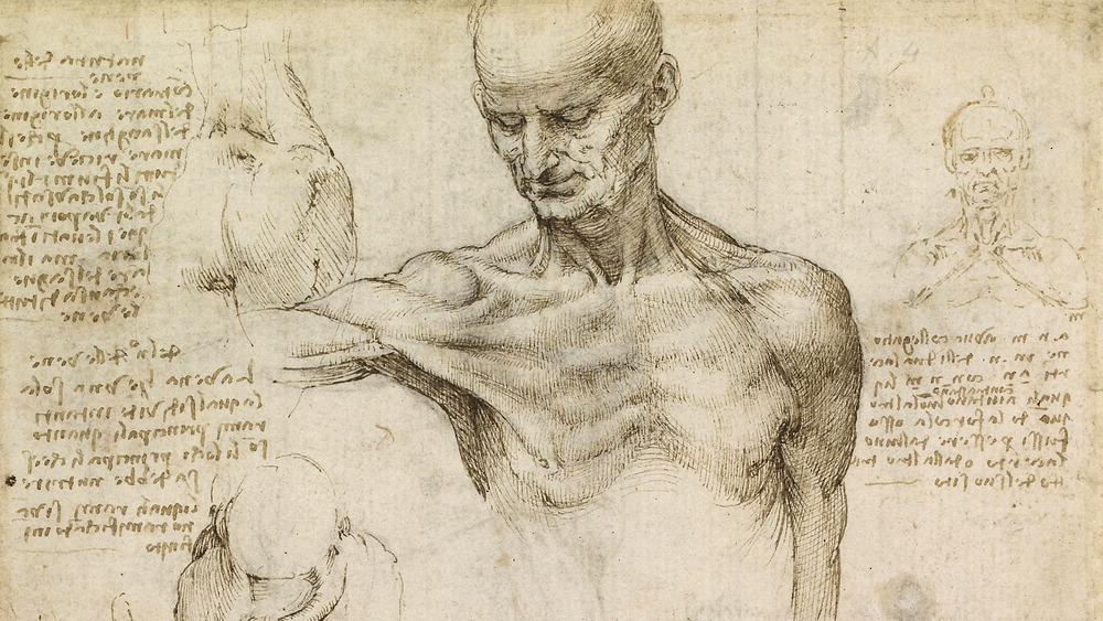 Leonardo da Vinci's anatomical illustrations showing body